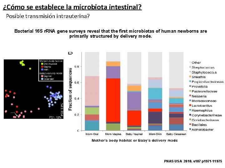 ¿Cómo se establece la microbiota intestinal? Posible transmisión intrauterina? Bacterial 16 S r. RNA