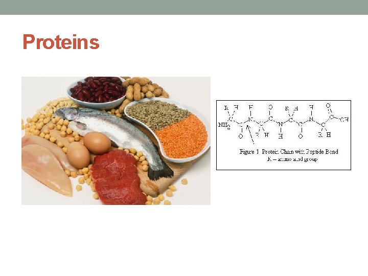 Proteins 