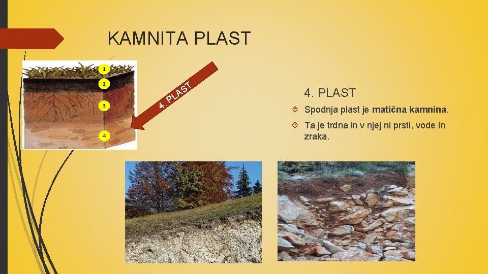 KAMNITA PLAST T 4. S A PL 4. PLAST Spodnja plast je matična kamnina.