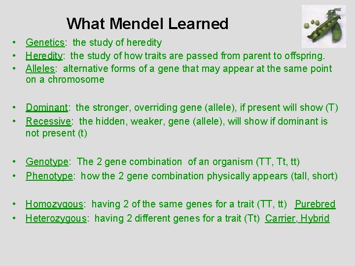 What Mendel Learned • Genetics: the study of heredity • Heredity: the study of