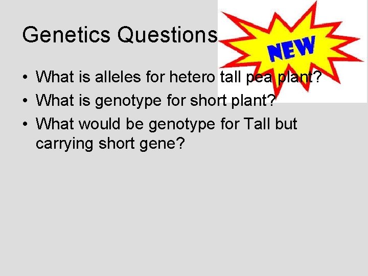 Genetics Questions • What is alleles for hetero tall pea plant? • What is