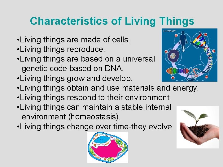 Characteristics of Living Things • Living things are made of cells. • Living things