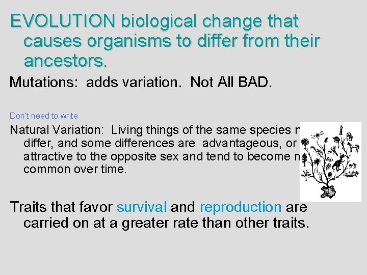 EVOLUTION biological change that causes organisms to differ from their ancestors. Mutations: adds variation.