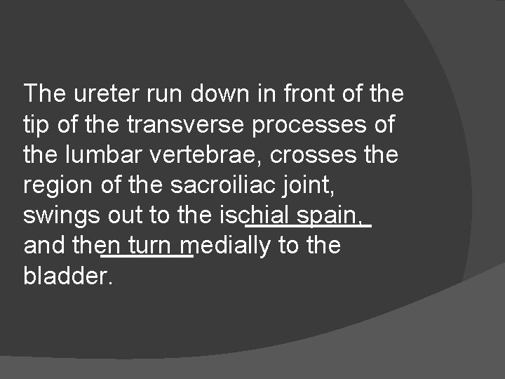 The ureter run down in front of the tip of the transverse processes of