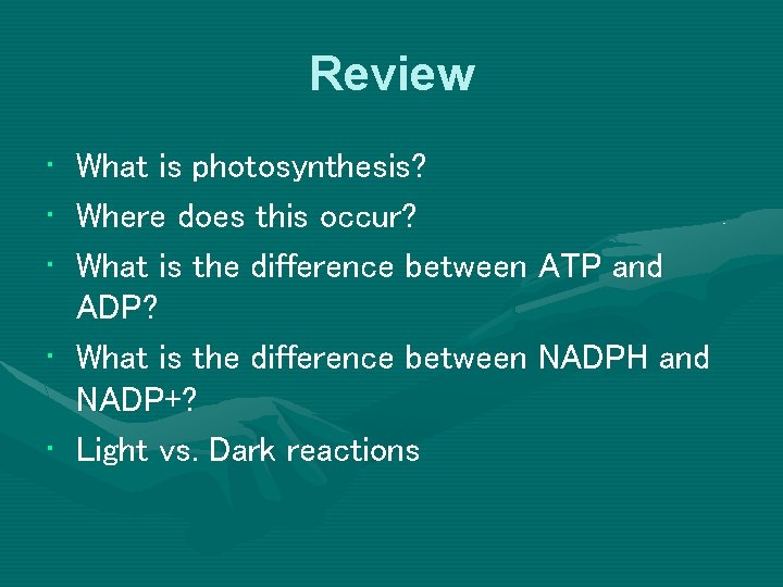 Review • What is photosynthesis? • Where does this occur? • What is the