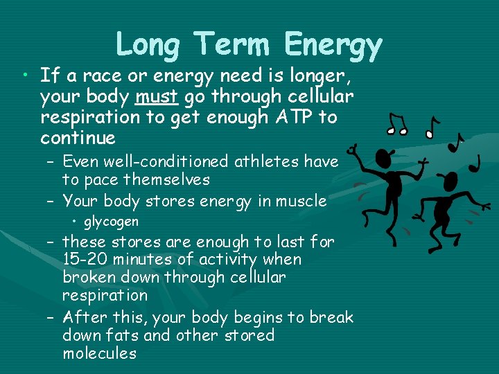 Long Term Energy • If a race or energy need is longer, your body