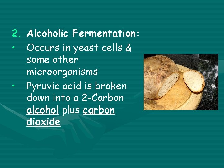 2. Alcoholic Fermentation: • Occurs in yeast cells & some other microorganisms • Pyruvic