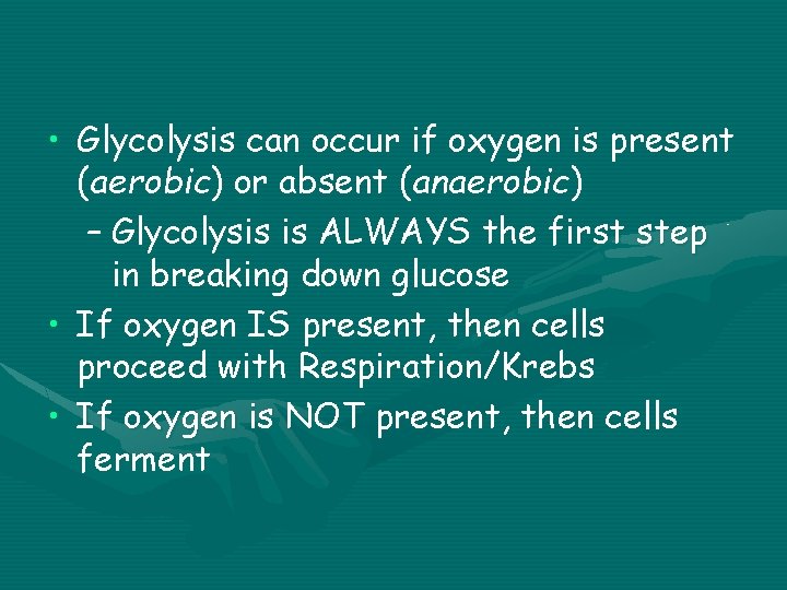  • Glycolysis can occur if oxygen is present (aerobic) or absent (anaerobic) –