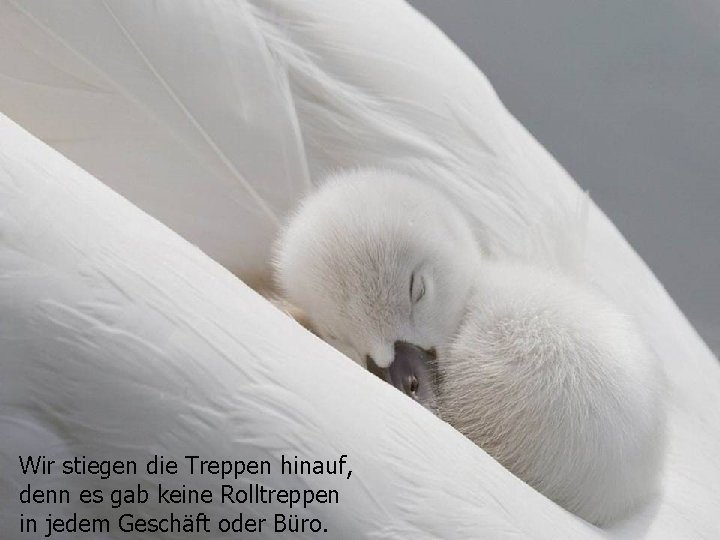 Wir stiegen die Treppen hinauf, denn es gab keine Rolltreppen in jedem Geschäft oder