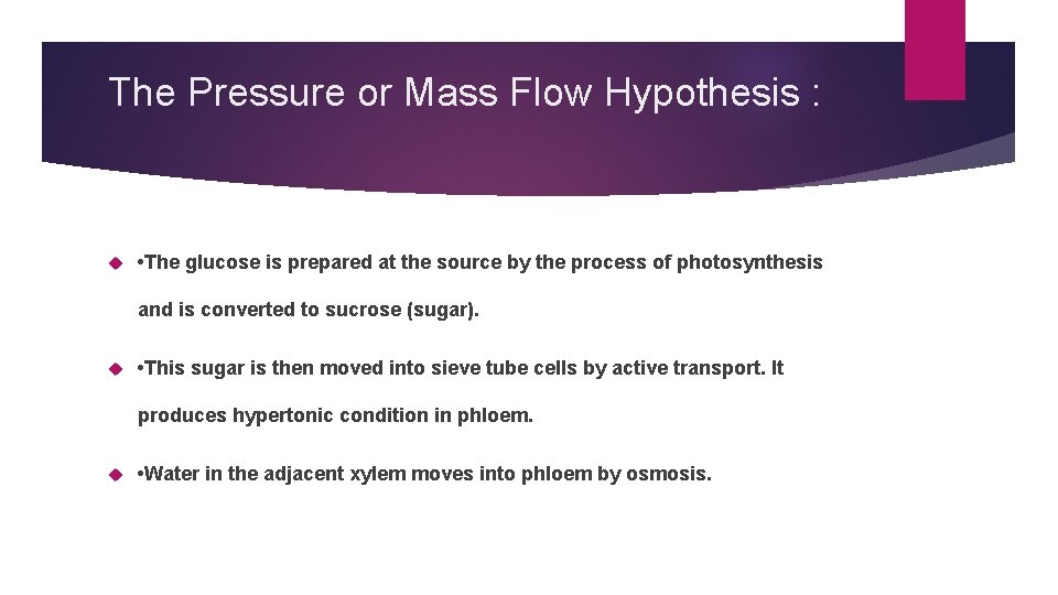 The Pressure or Mass Flow Hypothesis : • The glucose is prepared at the