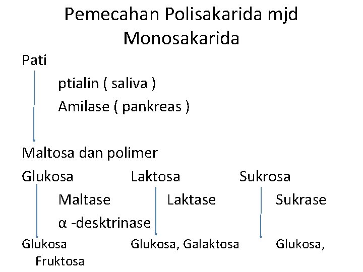 Pati Pemecahan Polisakarida mjd Monosakarida ptialin ( saliva ) Amilase ( pankreas ) Maltosa
