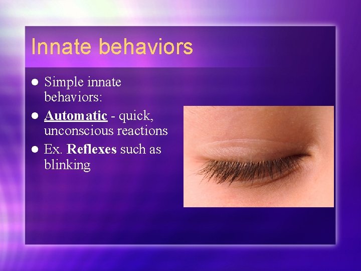 Innate behaviors Simple innate behaviors: l Automatic - quick, unconscious reactions l Ex. Reflexes