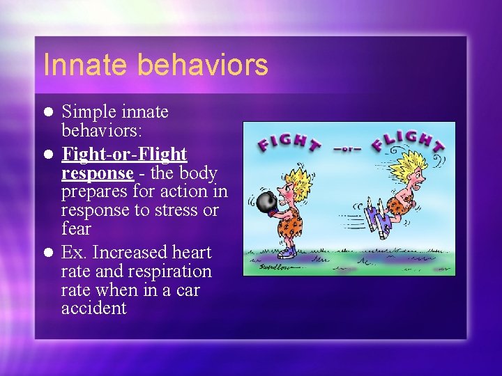 Innate behaviors Simple innate behaviors: l Fight-or-Flight response - the body prepares for action
