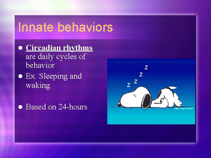 Innate behaviors Circadian rhythms are daily cycles of behavior l Ex. Sleeping and waking