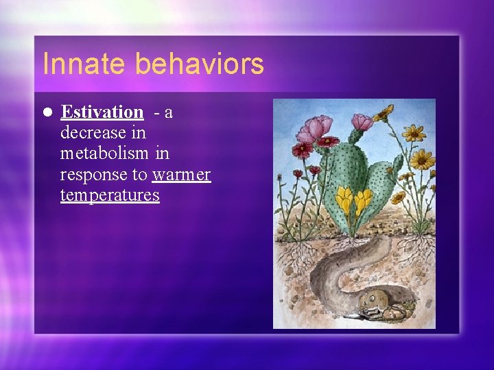 Innate behaviors l Estivation - a decrease in metabolism in response to warmer temperatures