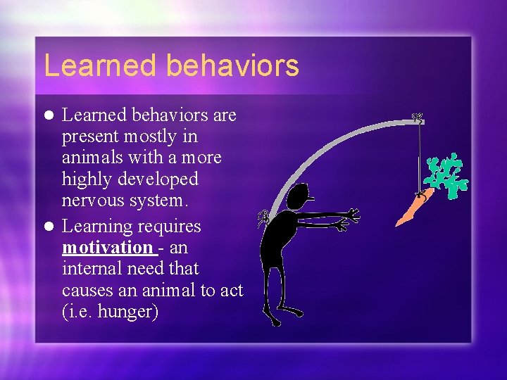 Learned behaviors are present mostly in animals with a more highly developed nervous system.