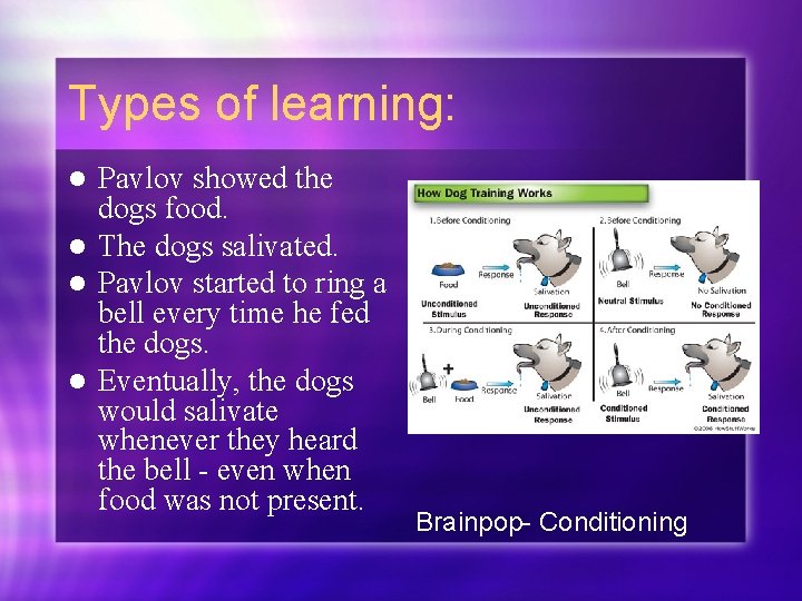 Types of learning: Pavlov showed the dogs food. l The dogs salivated. l Pavlov
