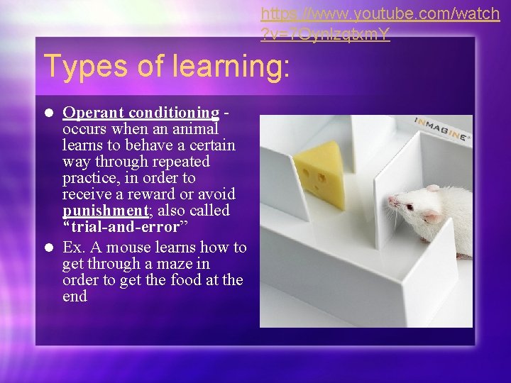 https: //www. youtube. com/watch ? v=7 Oynlzqtxm. Y Types of learning: Operant conditioning occurs
