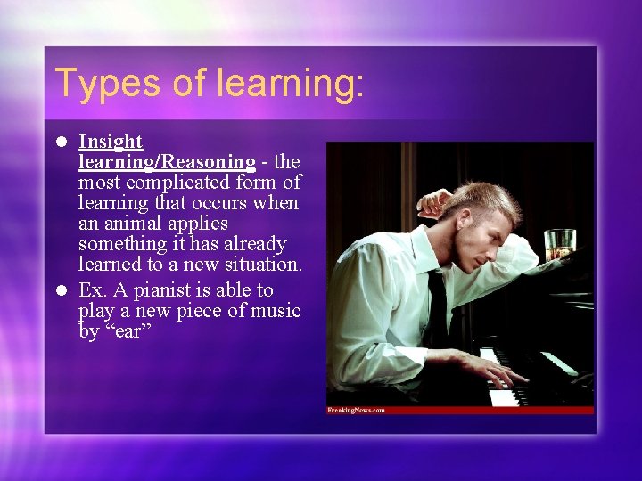 Types of learning: Insight learning/Reasoning - the most complicated form of learning that occurs