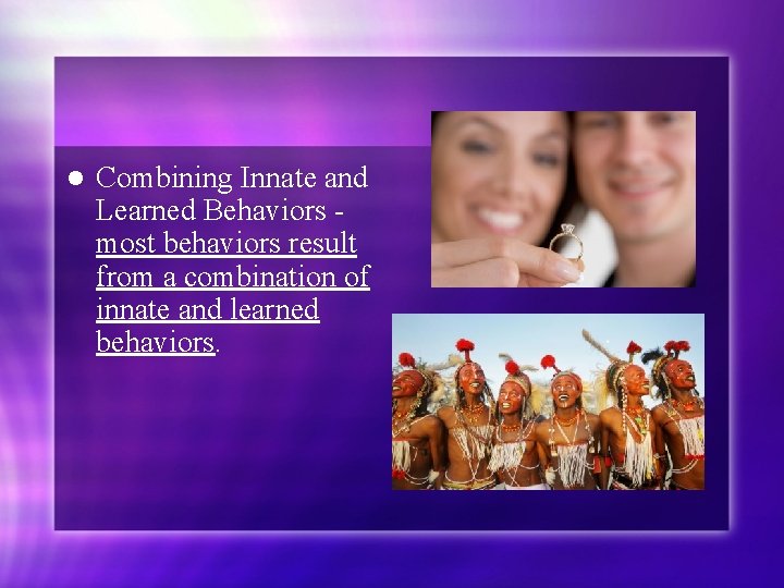 l Combining Innate and Learned Behaviors most behaviors result from a combination of innate