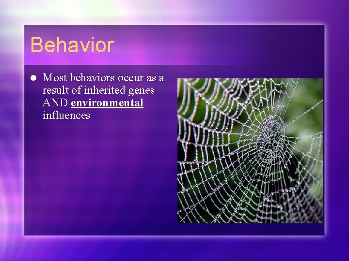 Behavior l Most behaviors occur as a result of inherited genes AND environmental influences