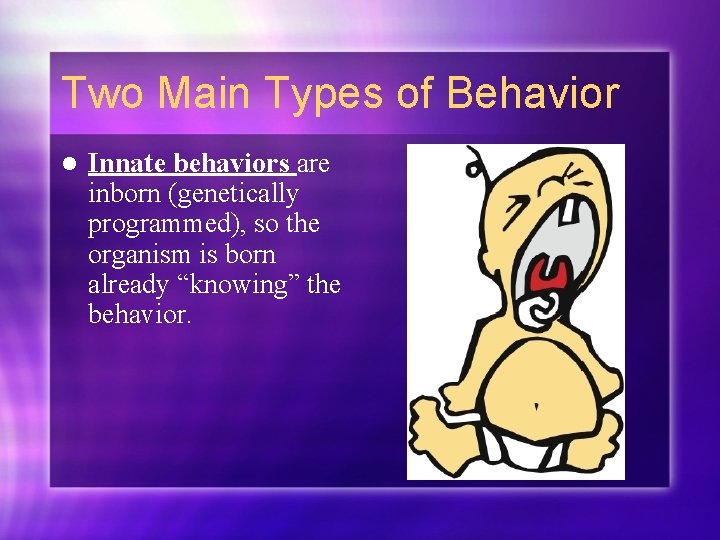 Two Main Types of Behavior l Innate behaviors are inborn (genetically programmed), so the