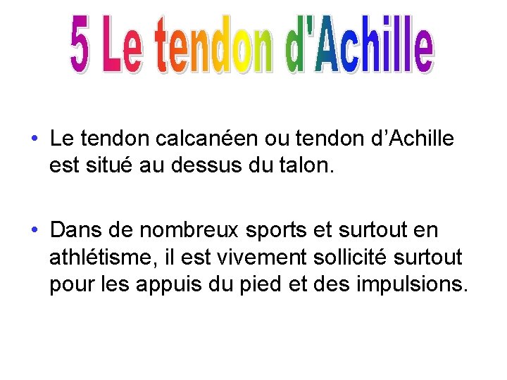  • Le tendon calcanéen ou tendon d’Achille est situé au dessus du talon.