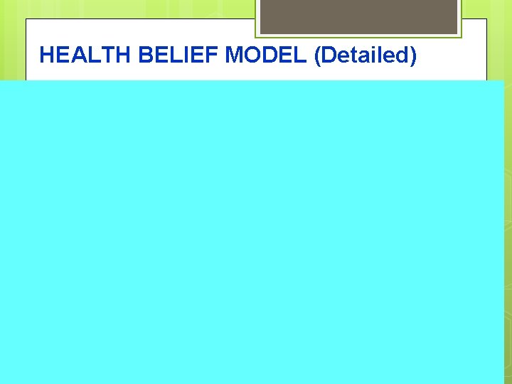HEALTH BELIEF MODEL (Detailed) 