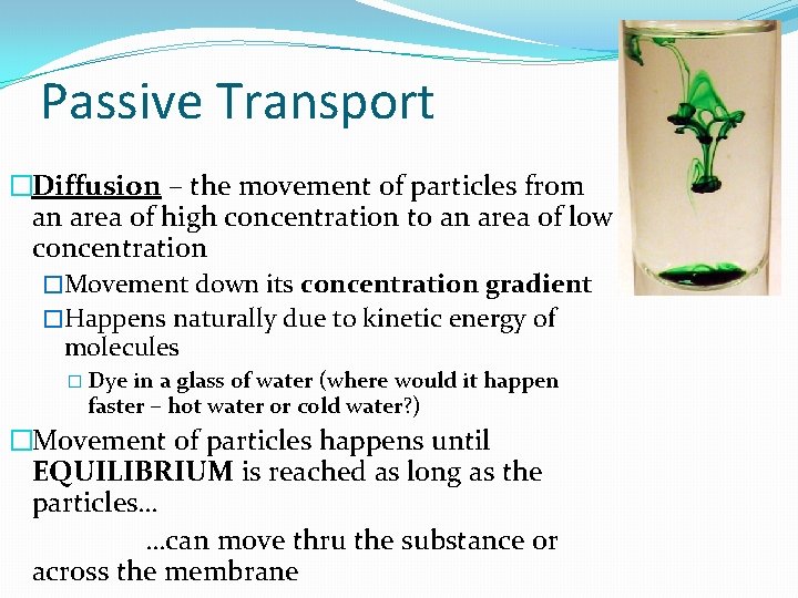 Passive Transport �Diffusion – the movement of particles from an area of high concentration