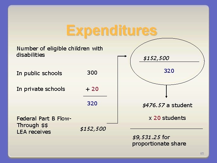 Expenditures Number of eligible children with disabilities In public schools 300 In private schools