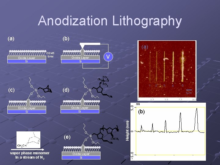 Anodization Lithography (b) (a) ODMS SAM V Oxide Layer Si Cl (c) O Si