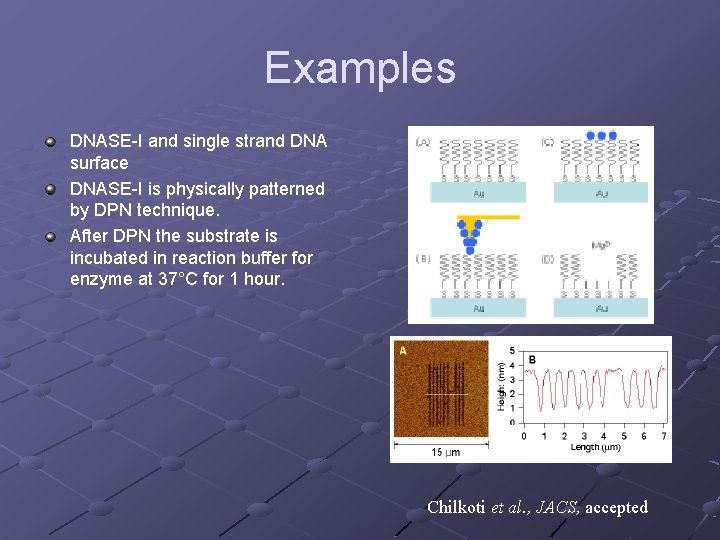Examples DNASE-I and single strand DNA surface DNASE-I is physically patterned by DPN technique.