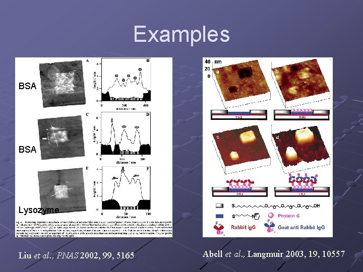 Examples BSA Lysozyme Liu et al. , PNAS 2002, 99, 5165 Abell et al.