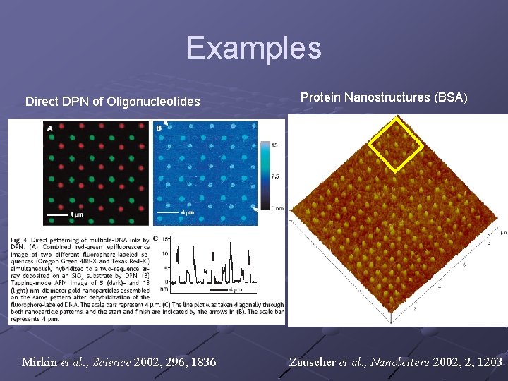 Examples Direct DPN of Oligonucleotides Protein Nanostructures (BSA) 2 mm Mirkin et al. ,