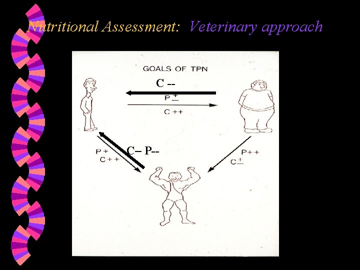 Nutritional Assessment: Veterinary approach C -- C– P-- 