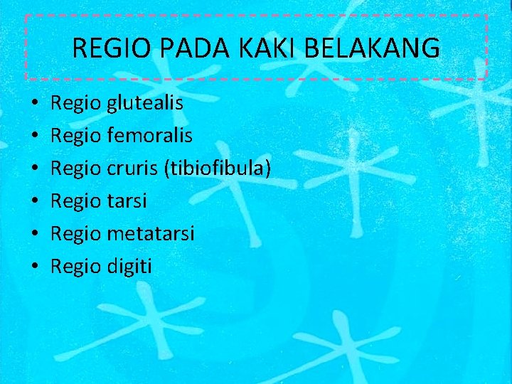 REGIO PADA KAKI BELAKANG • • • Regio glutealis Regio femoralis Regio cruris (tibiofibula)