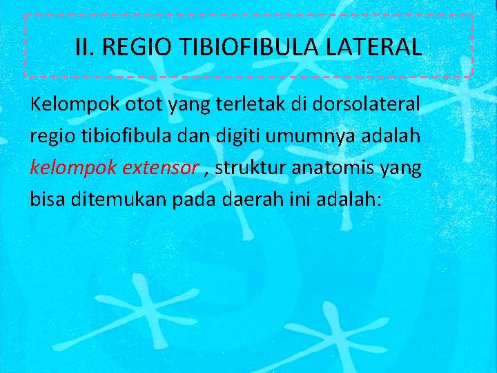 II. REGIO TIBIOFIBULA LATERAL Kelompok otot yang terletak di dorsolateral regio tibiofibula dan digiti