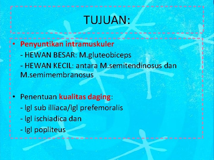 TUJUAN: • Penyuntikan intramuskuler - HEWAN BESAR: M. gluteobiceps - HEWAN KECIL: antara M.