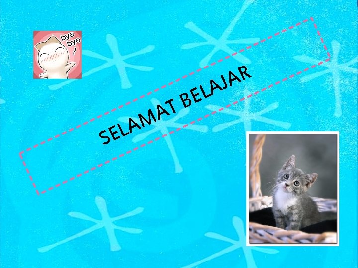 S T A M A EL L E B R A AJ 