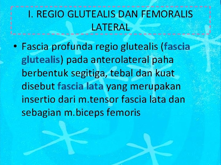 I. REGIO GLUTEALIS DAN FEMORALIS LATERAL • Fascia profunda regio glutealis (fascia glutealis) pada