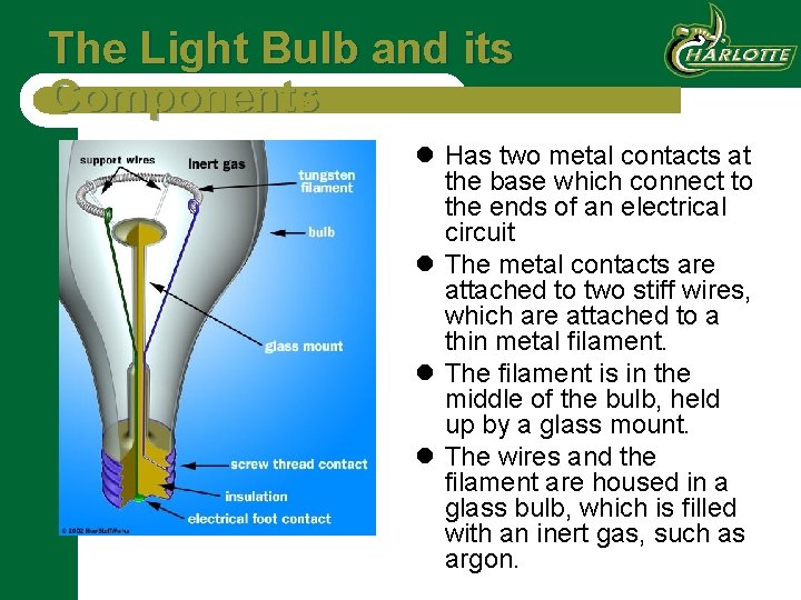 The Light Bulb and its Components l Has two metal contacts at the base