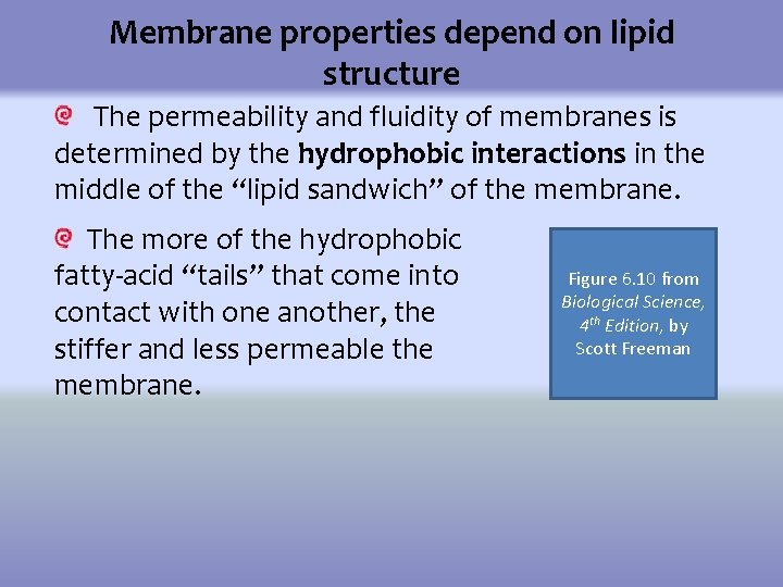 Water Can Kill Exploring Effects of Osmosis by