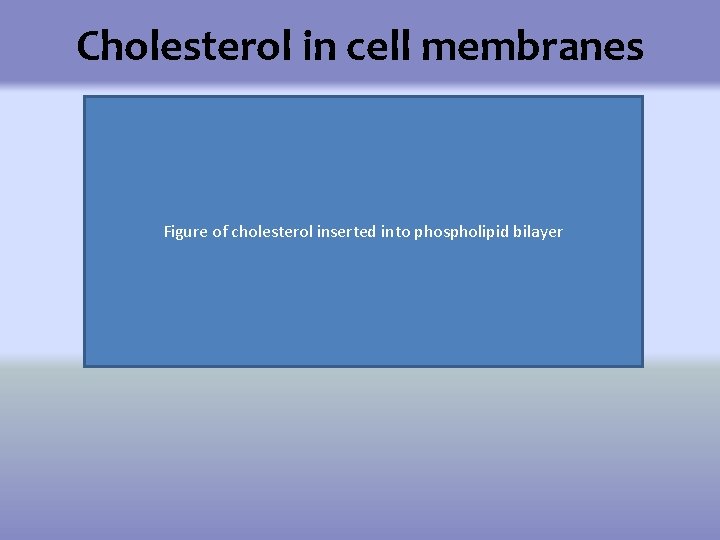 Water Can Kill Exploring Effects of Osmosis by