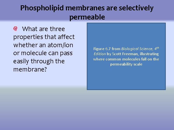 Water Can Kill Exploring Effects of Osmosis by
