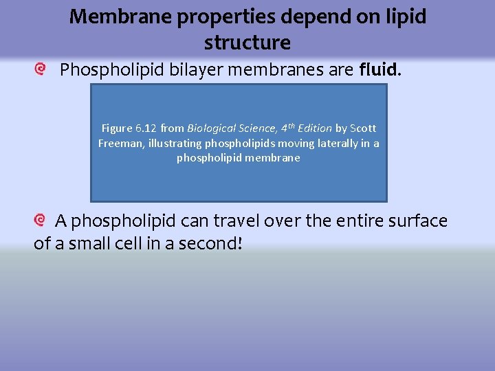 Water Can Kill Exploring Effects of Osmosis by
