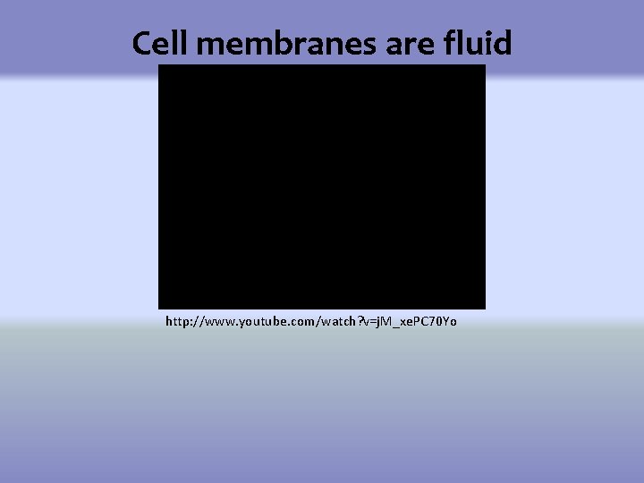 Water Can Kill Exploring Effects of Osmosis by