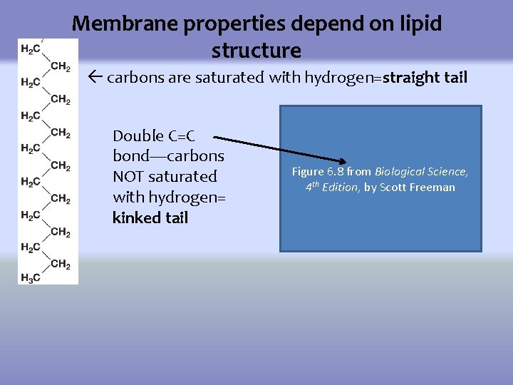 Water Can Kill Exploring Effects of Osmosis by