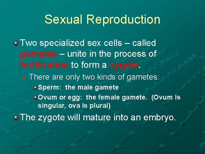 Sexual Reproduction Two specialized sex cells – called gametes – unite in the process