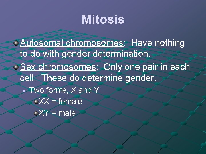 Mitosis Autosomal chromosomes: Have nothing to do with gender determination. Sex chromosomes: Only one