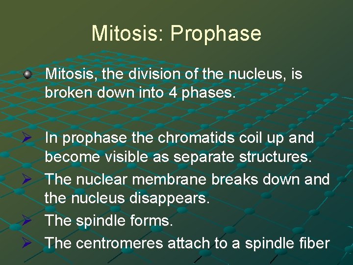 Mitosis: Prophase Mitosis, the division of the nucleus, is broken down into 4 phases.